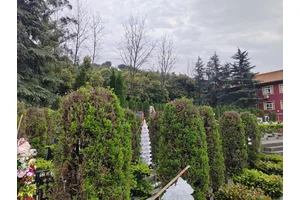 仙居山墓地——千年古道的守望者